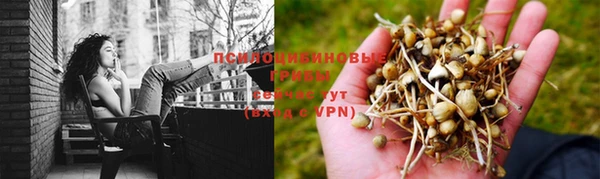 гидропоника Верея