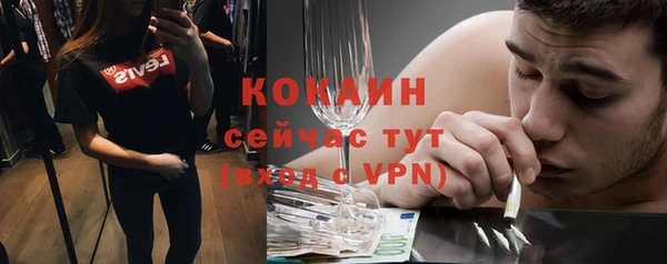 индика Волоколамск