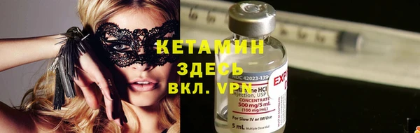 прущие грибы Володарск