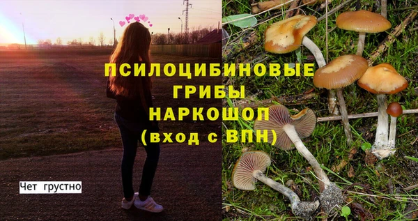 mdpv Бронницы