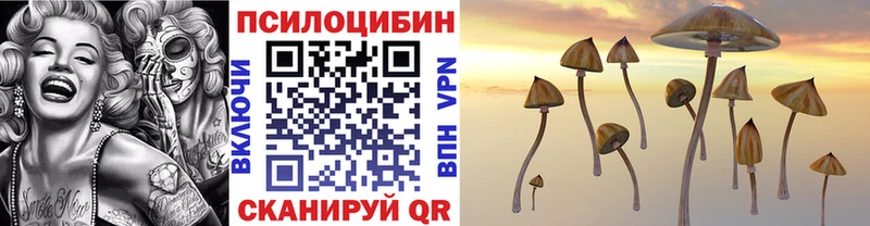 купить закладку  Заполярный  Псилоцибиновые грибы MAGIC MUSHROOMS 